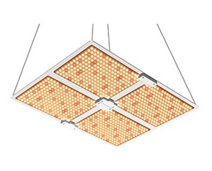 Quantum LED Grow Light_led